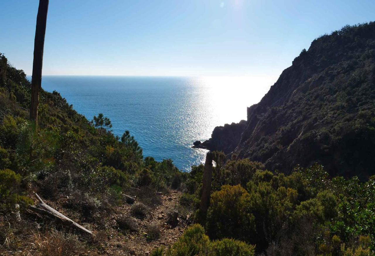 Il Cuore Di Moneglia - Moneglia Apartments Extérieur photo
