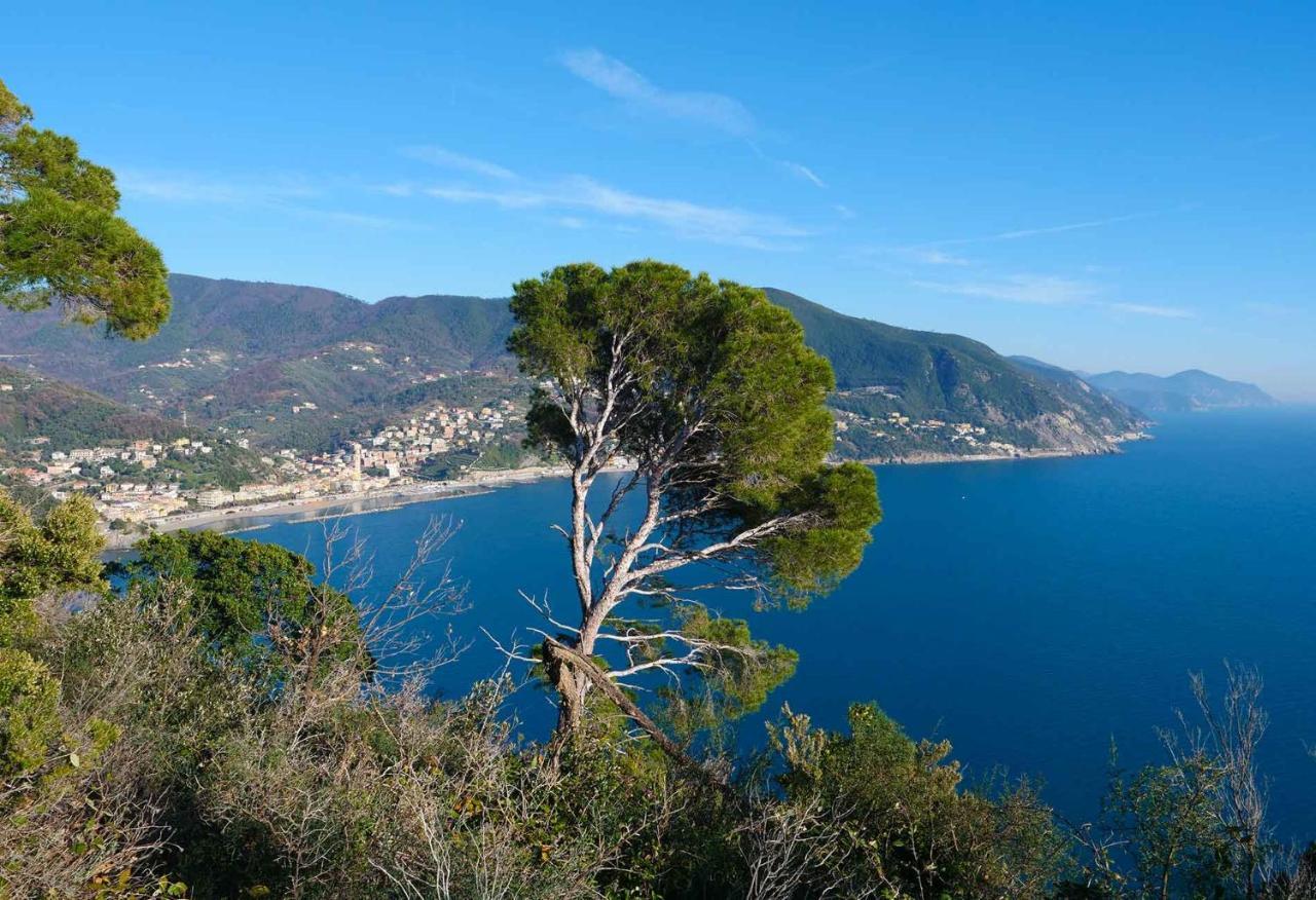 Il Cuore Di Moneglia - Moneglia Apartments Extérieur photo